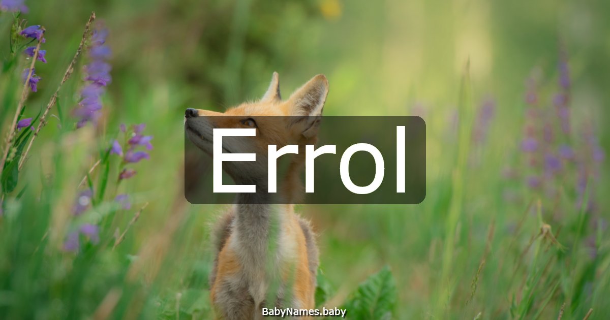 Errol
