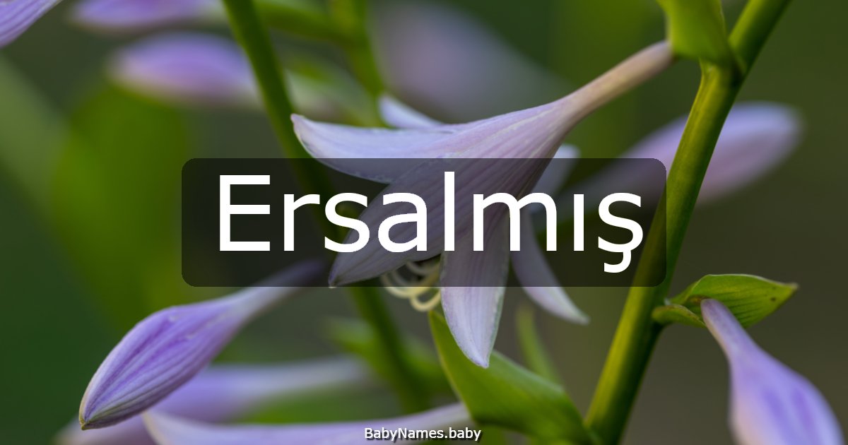 Ersalmış