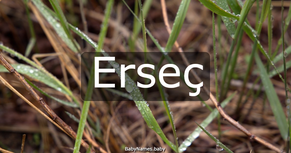 Erseç