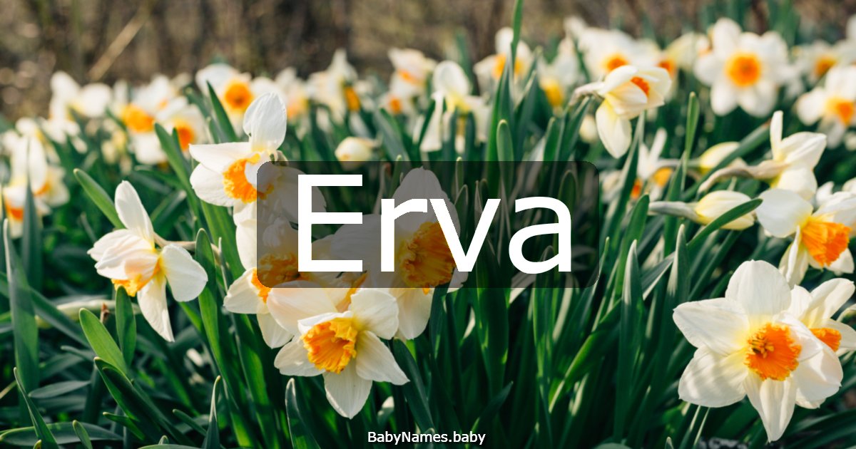 Erva