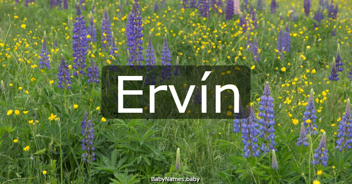Ervín
