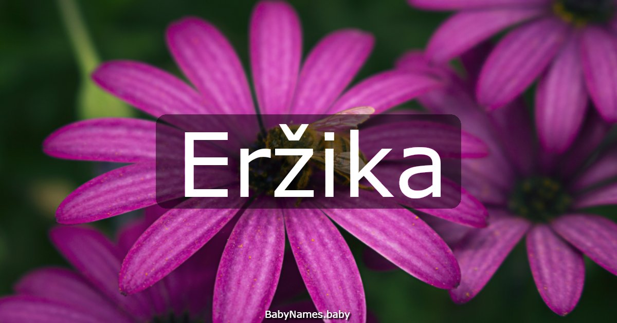 Eržika