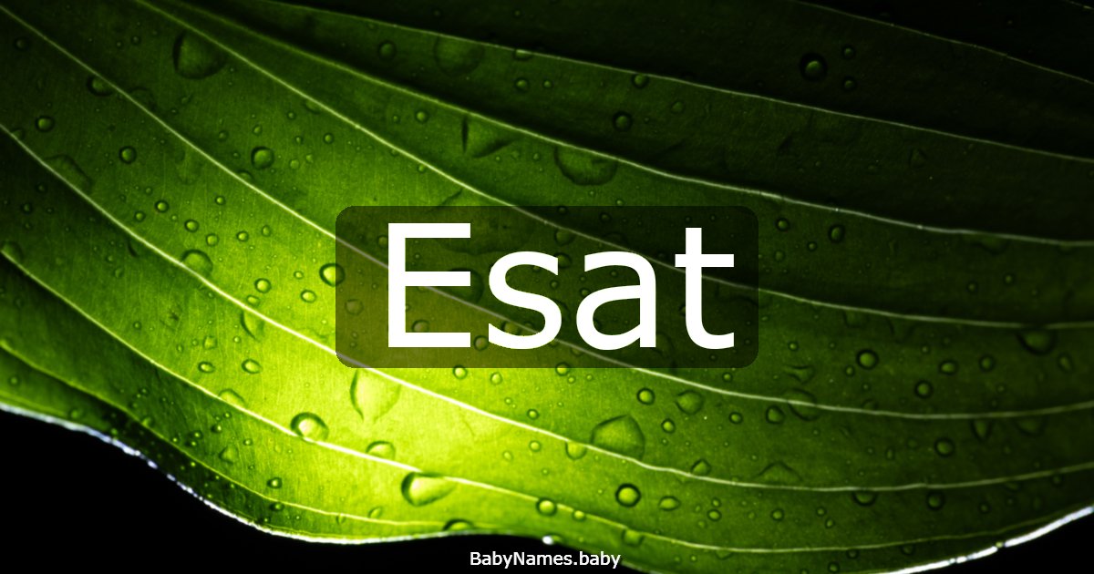 Esat