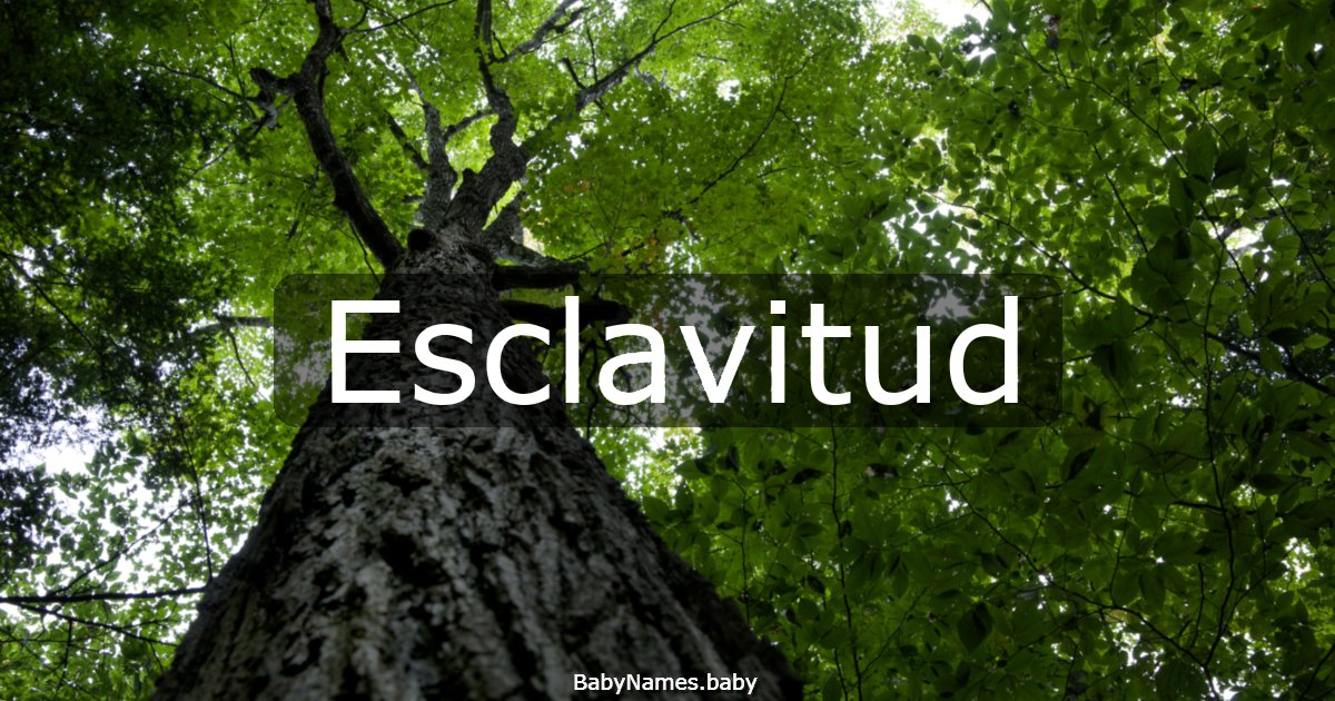 Esclavitud
