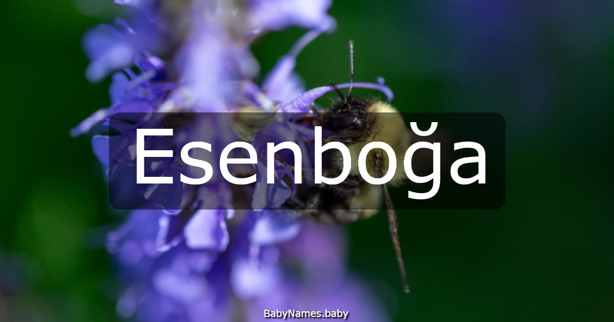 Esenboğa