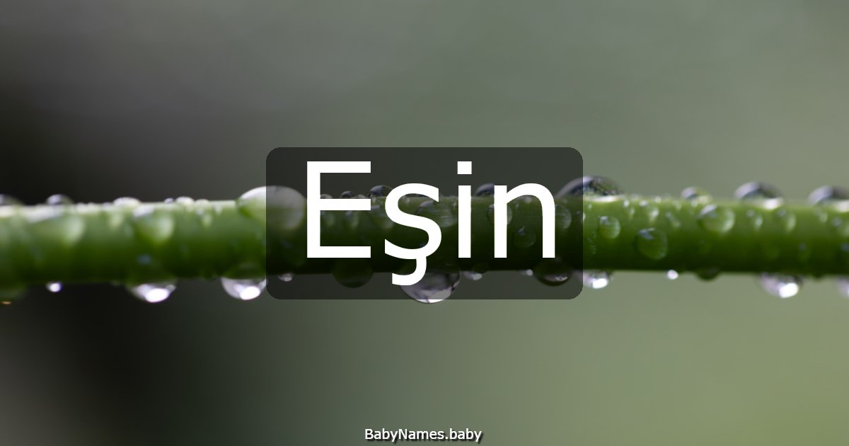 Eşin