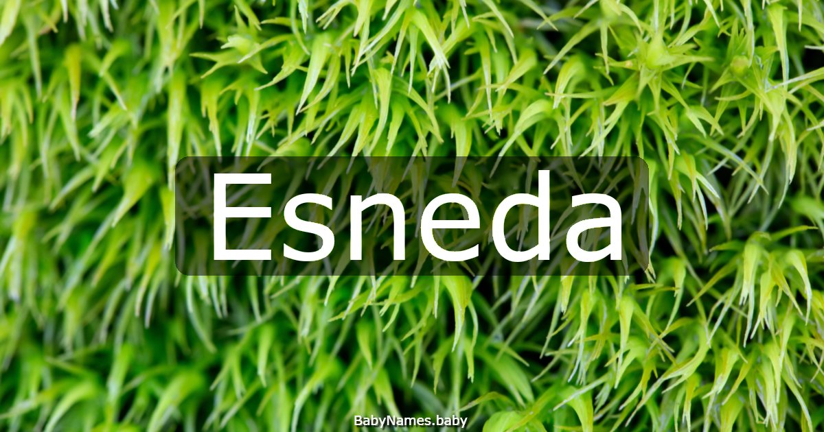 Esneda
