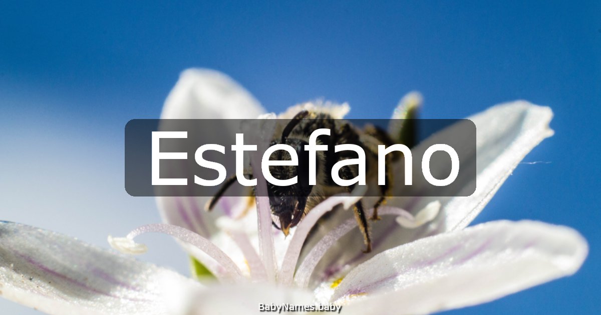 Estefano