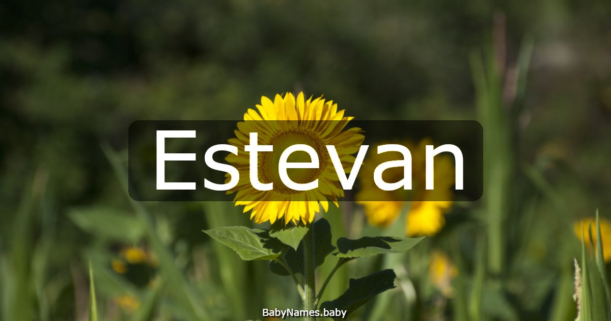 Estevan
