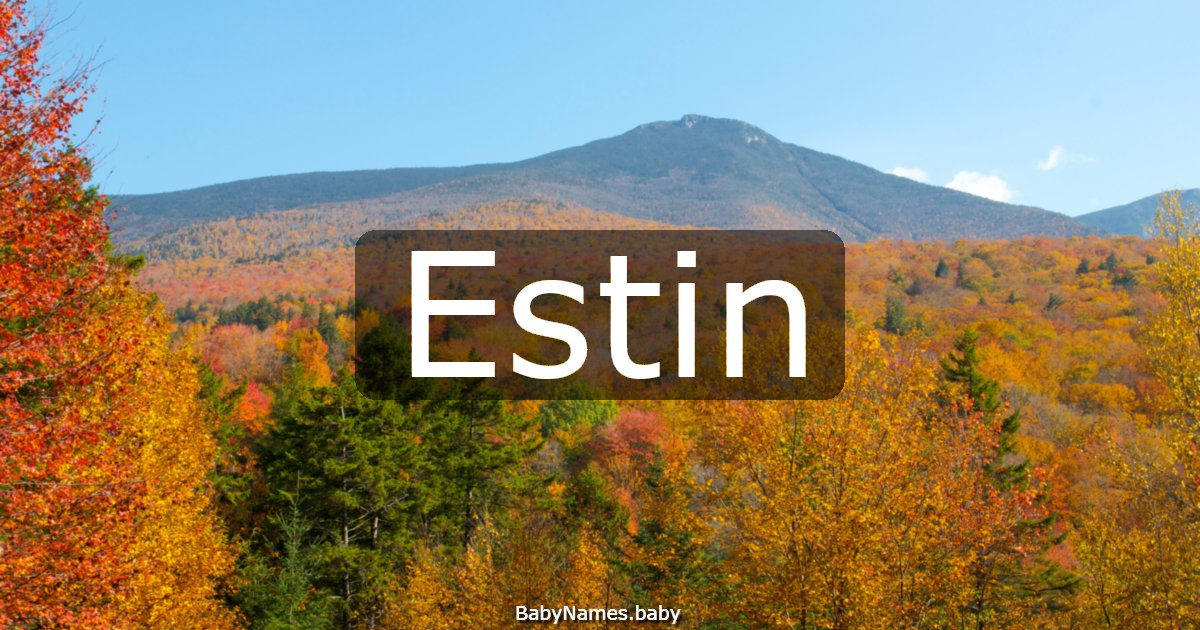 Estin