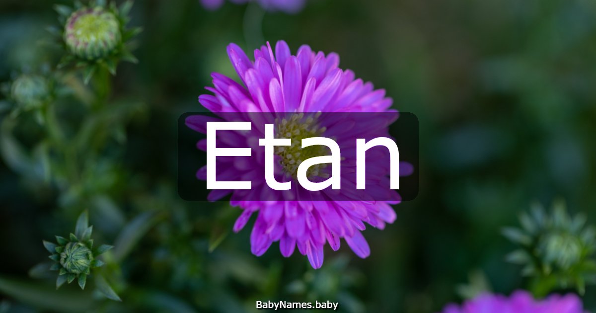 Etan
