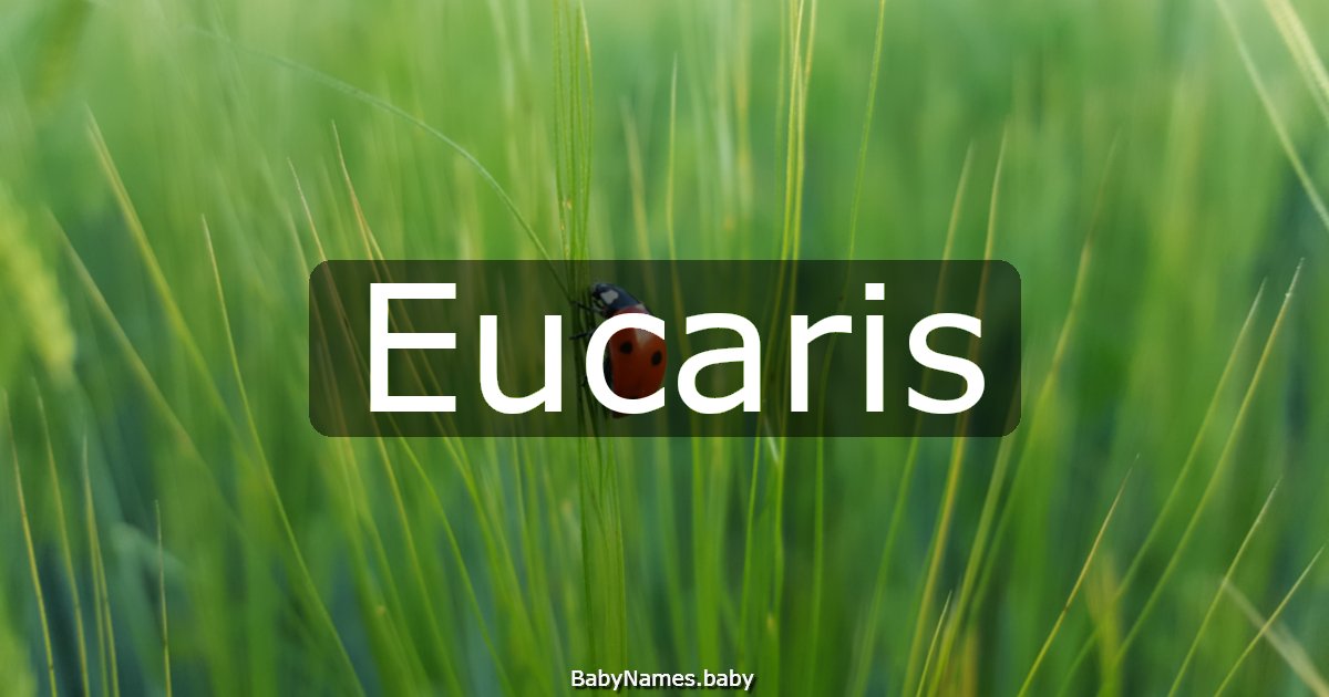 Eucaris