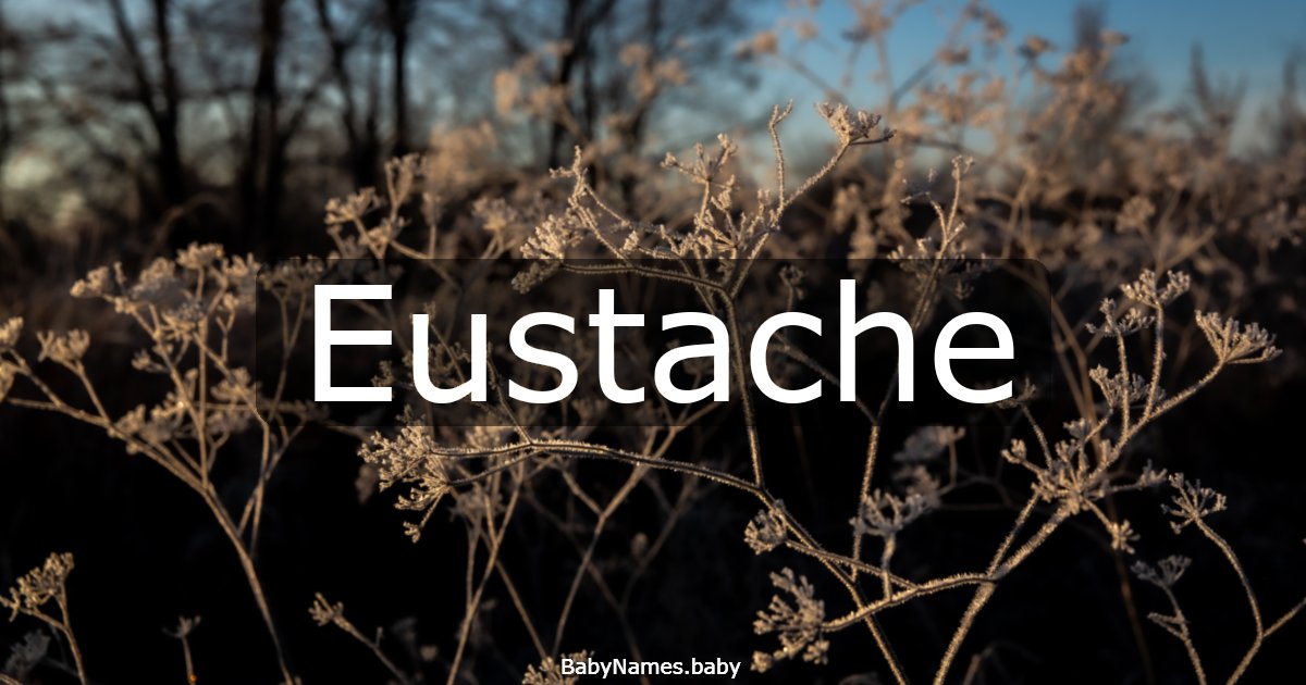 Eustache
