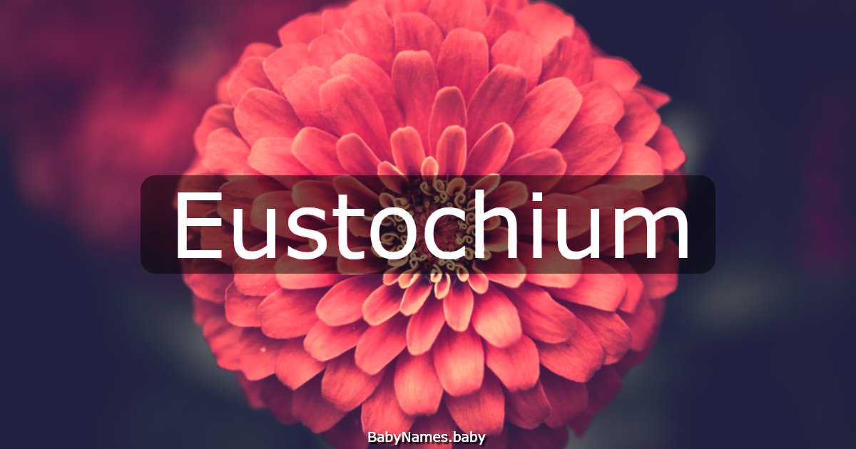 Eustochium
