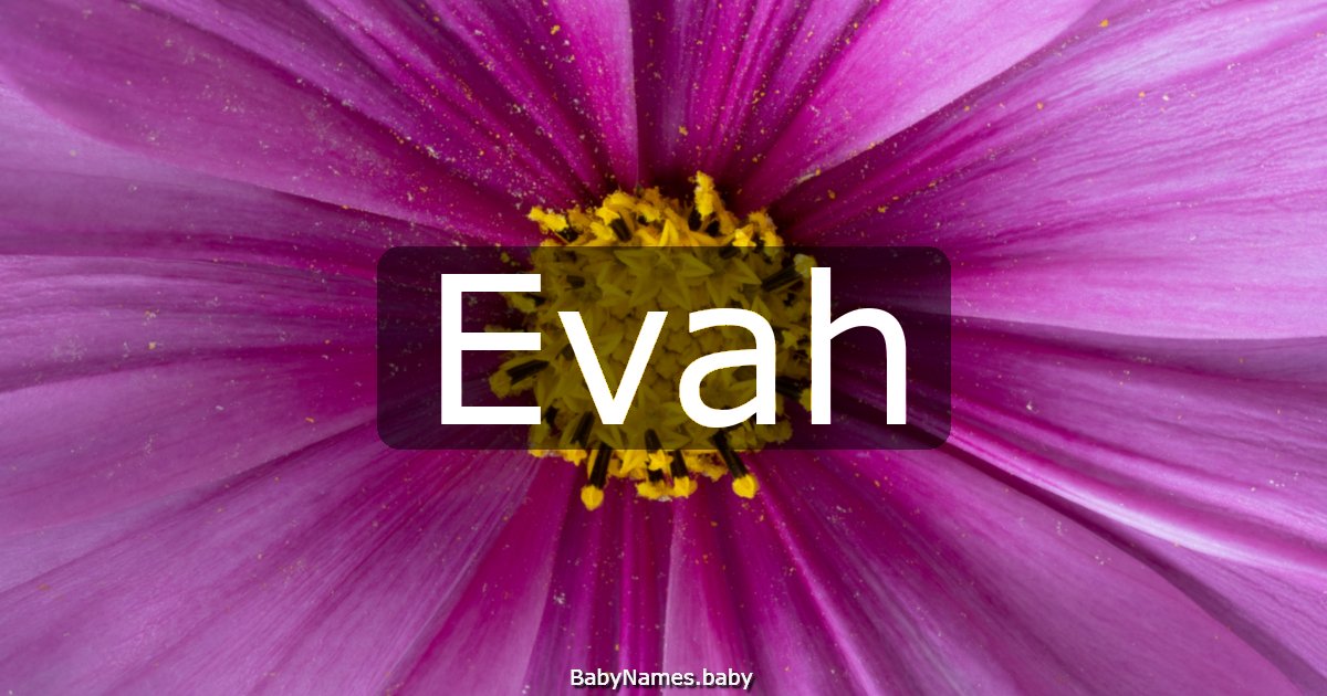 Evah