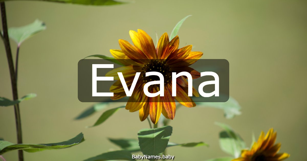 Evana