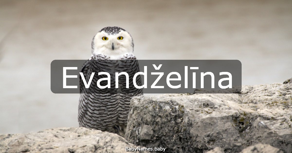 Evandželīna