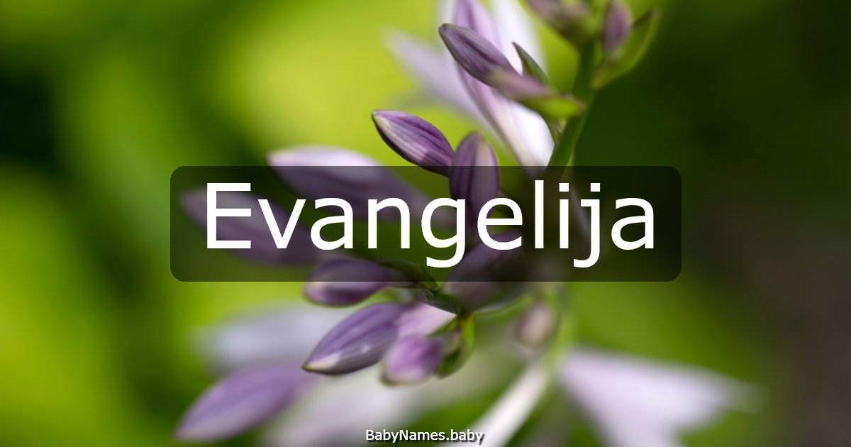 Evangelija