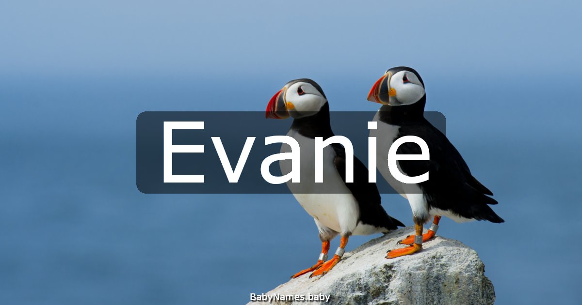 Evanie