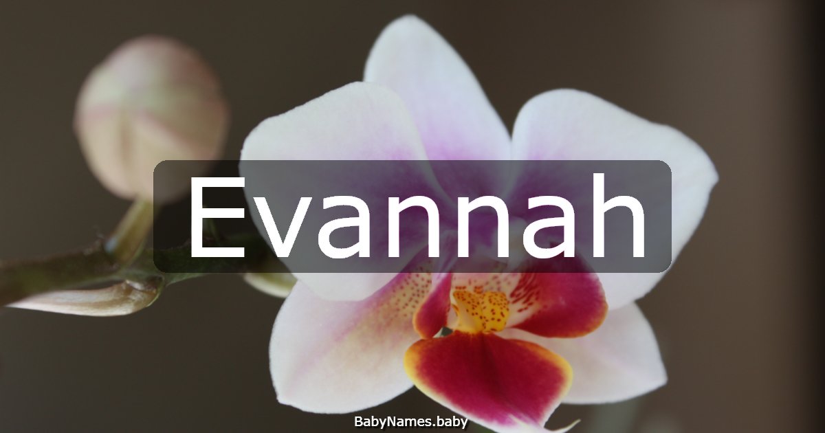 Evannah