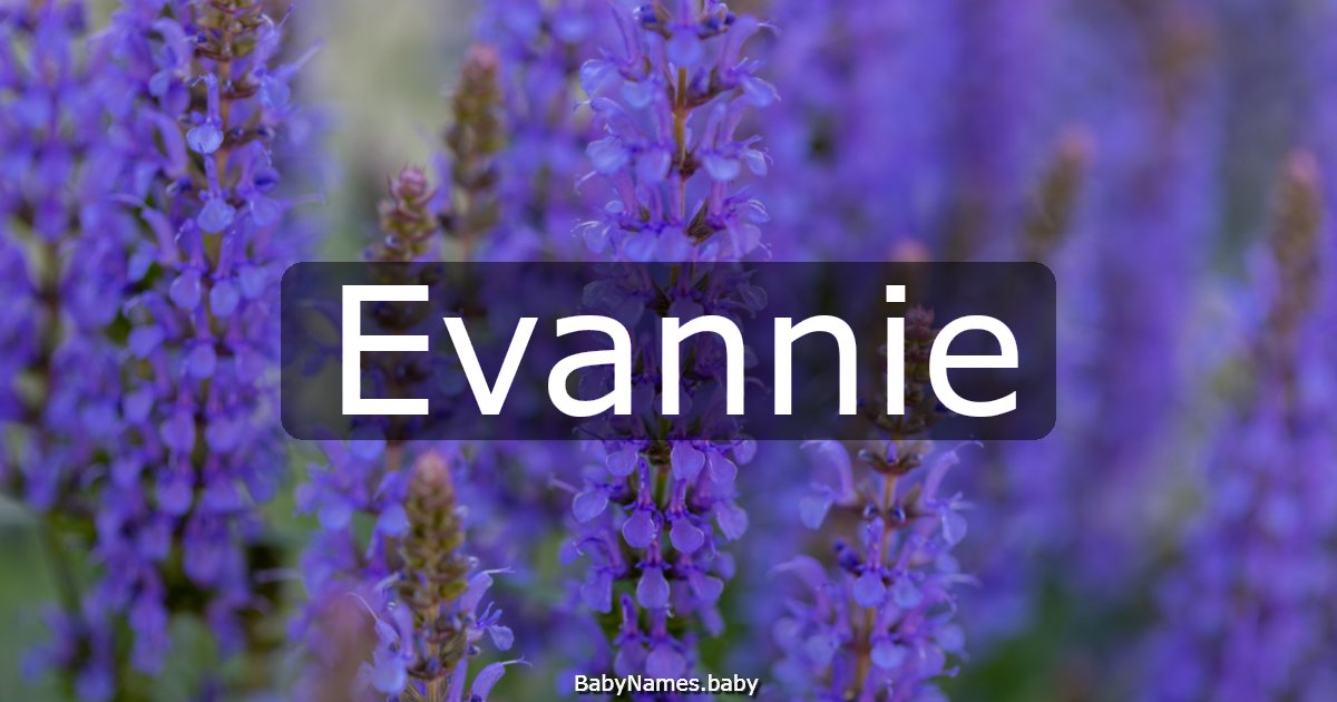 Evannie