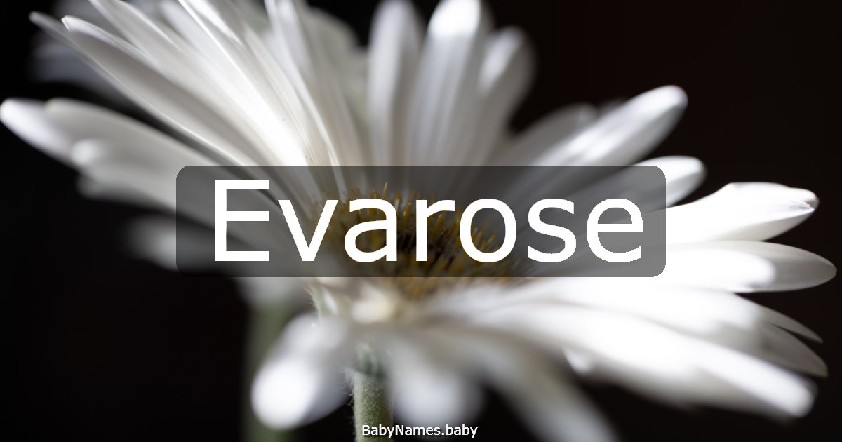 Evarose