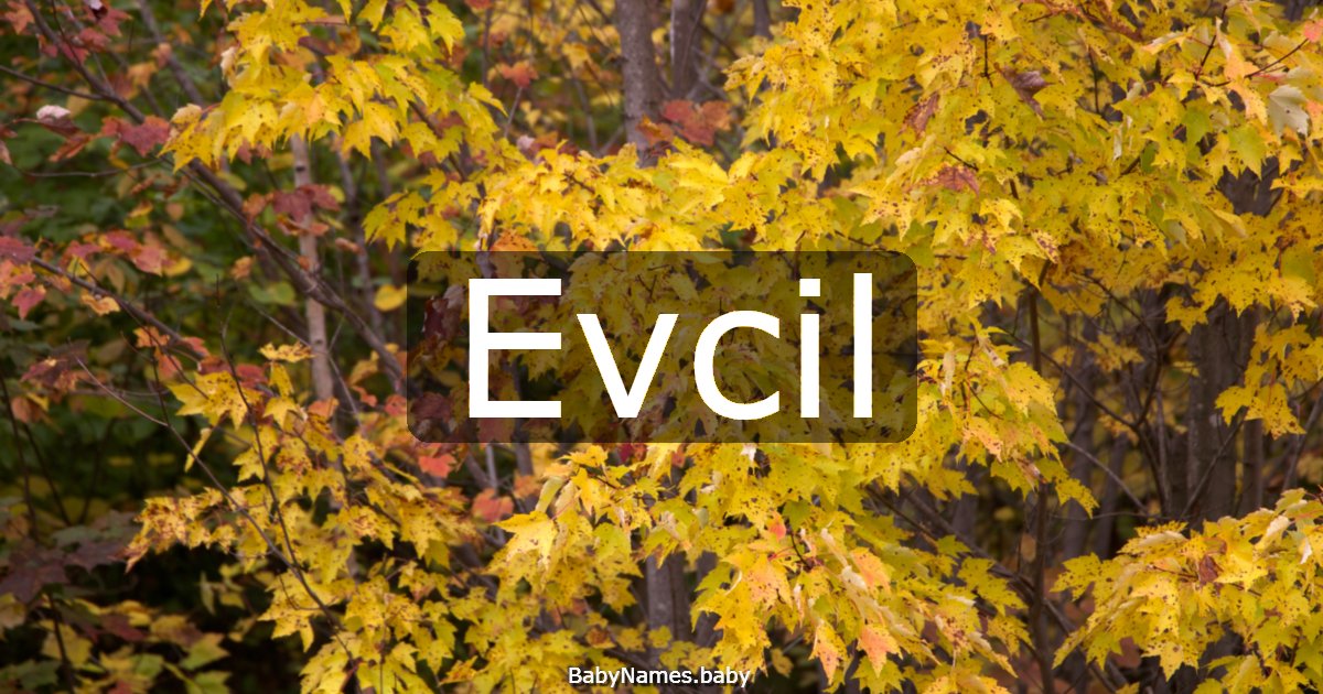 Evcil