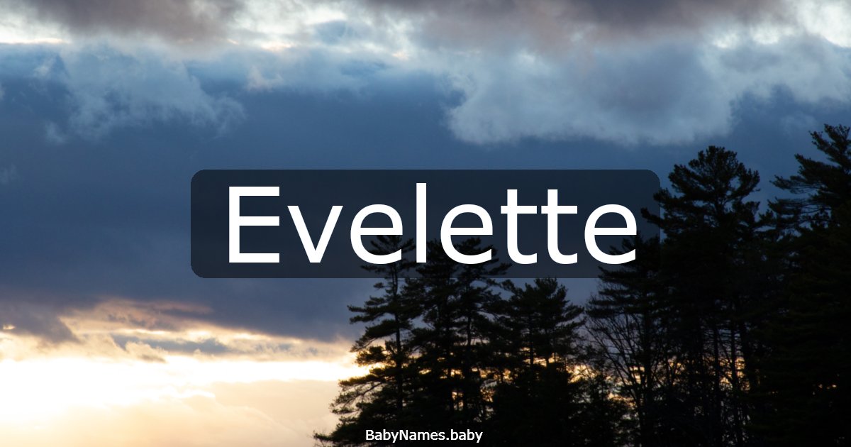 Evelette
