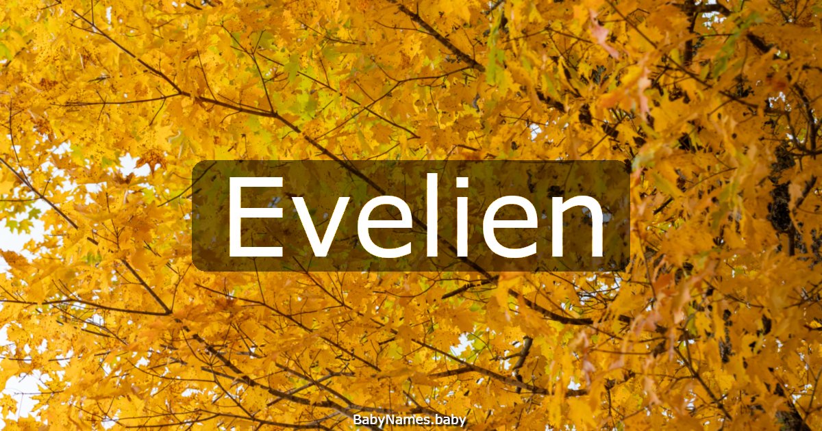 Evelien