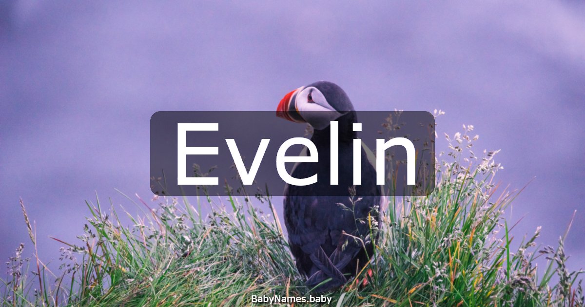 Evelin