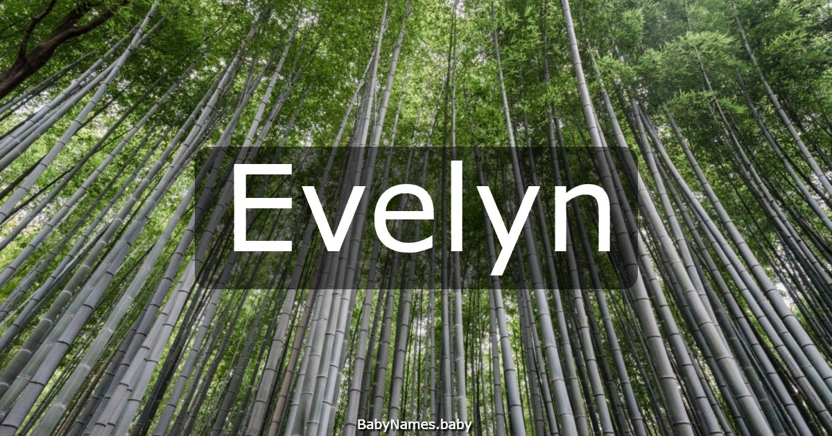 Evelyn