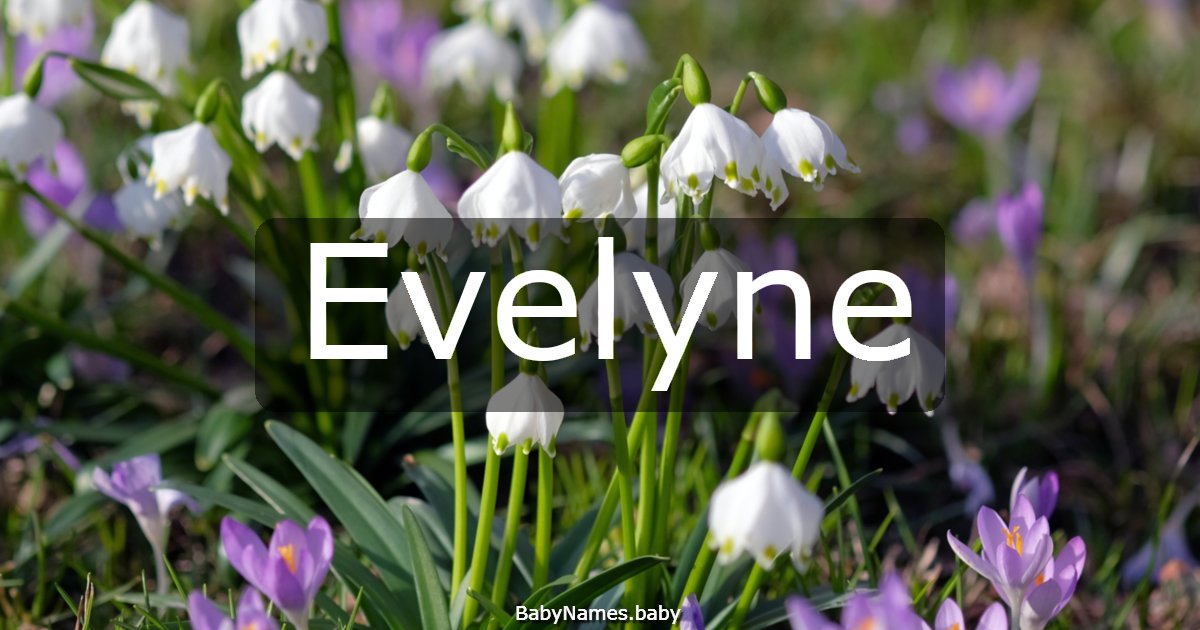 Evelyne
