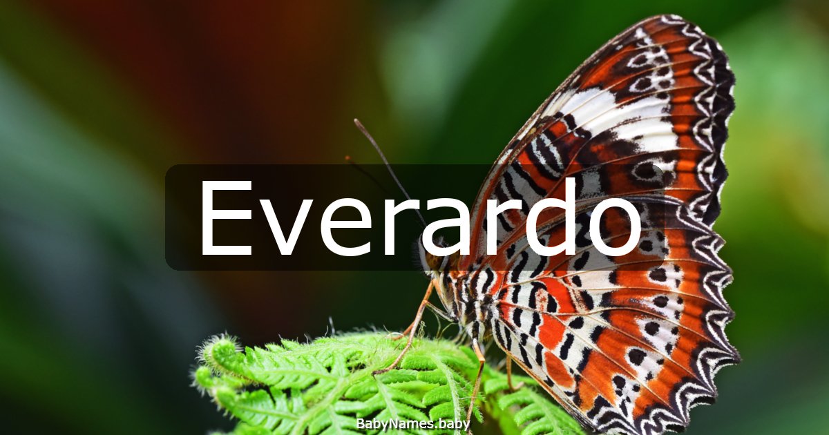 Everardo
