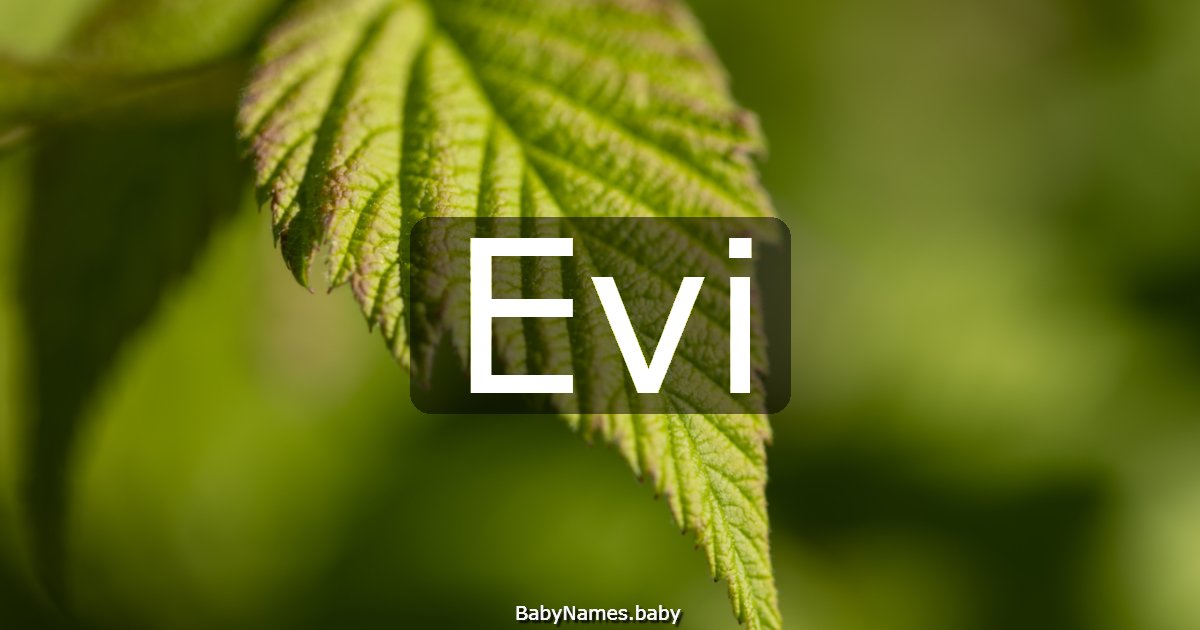 Evi