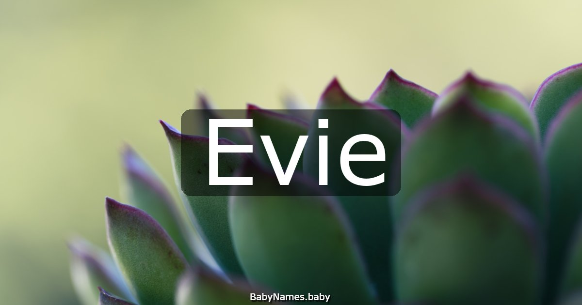 Evie