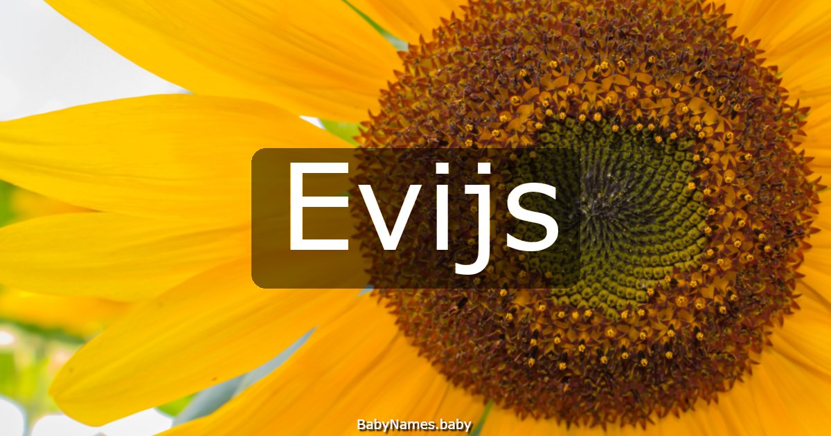 Evijs