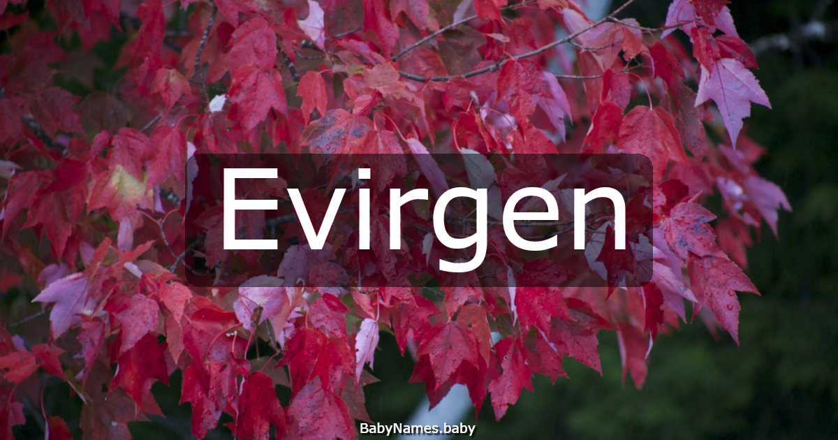 Evirgen