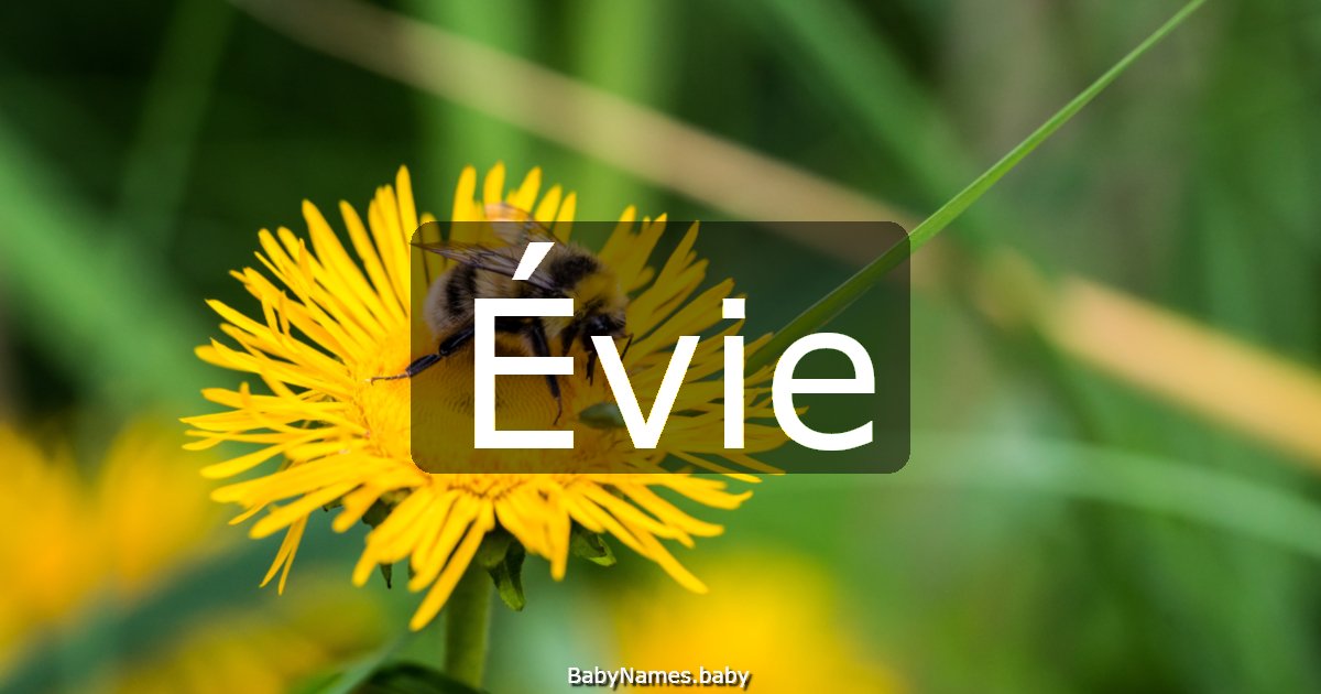 Évie