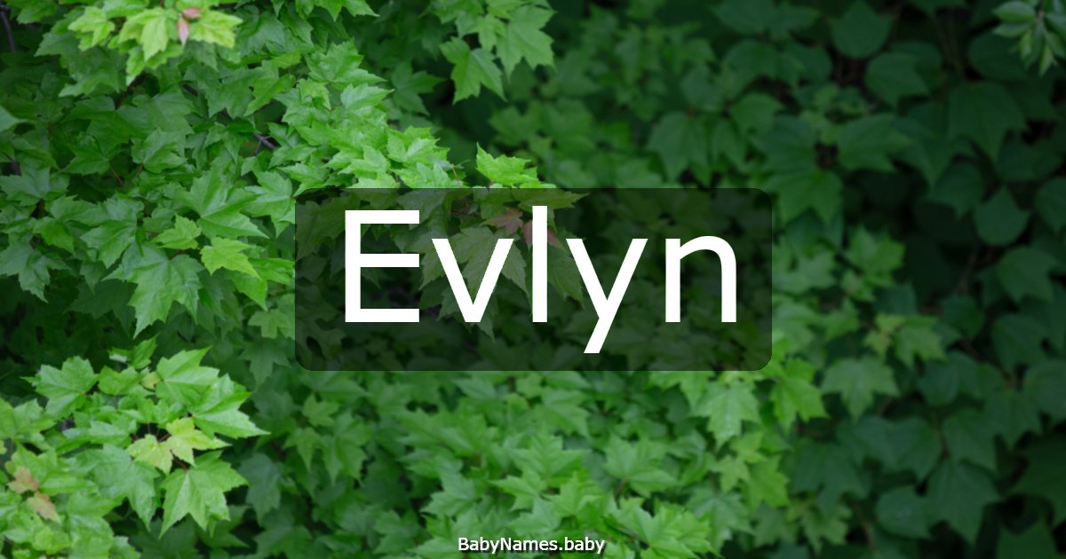 Evlyn