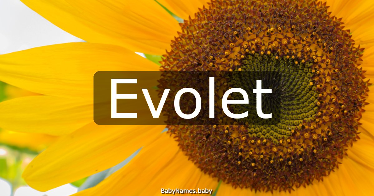 Evolet