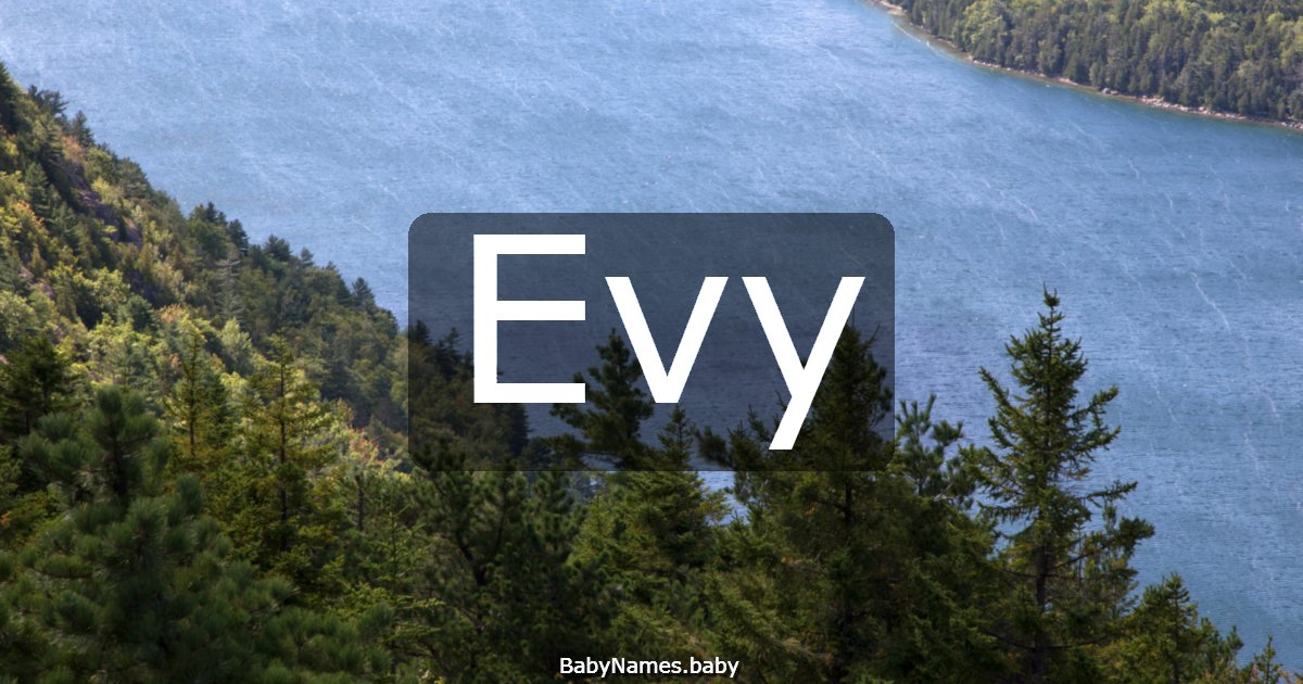 Evy
