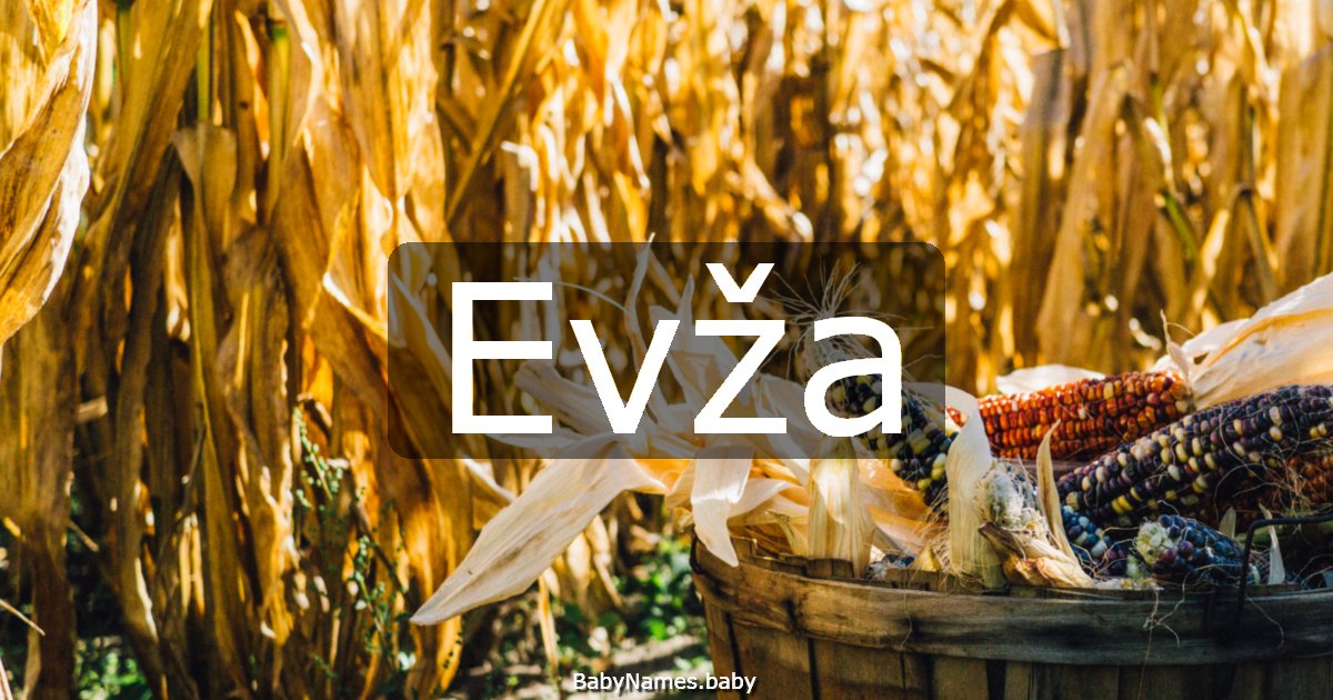 Evža