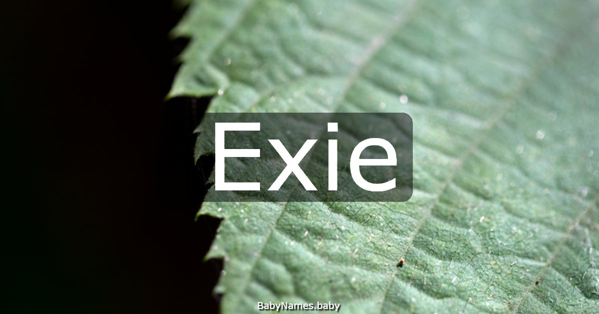 Exie