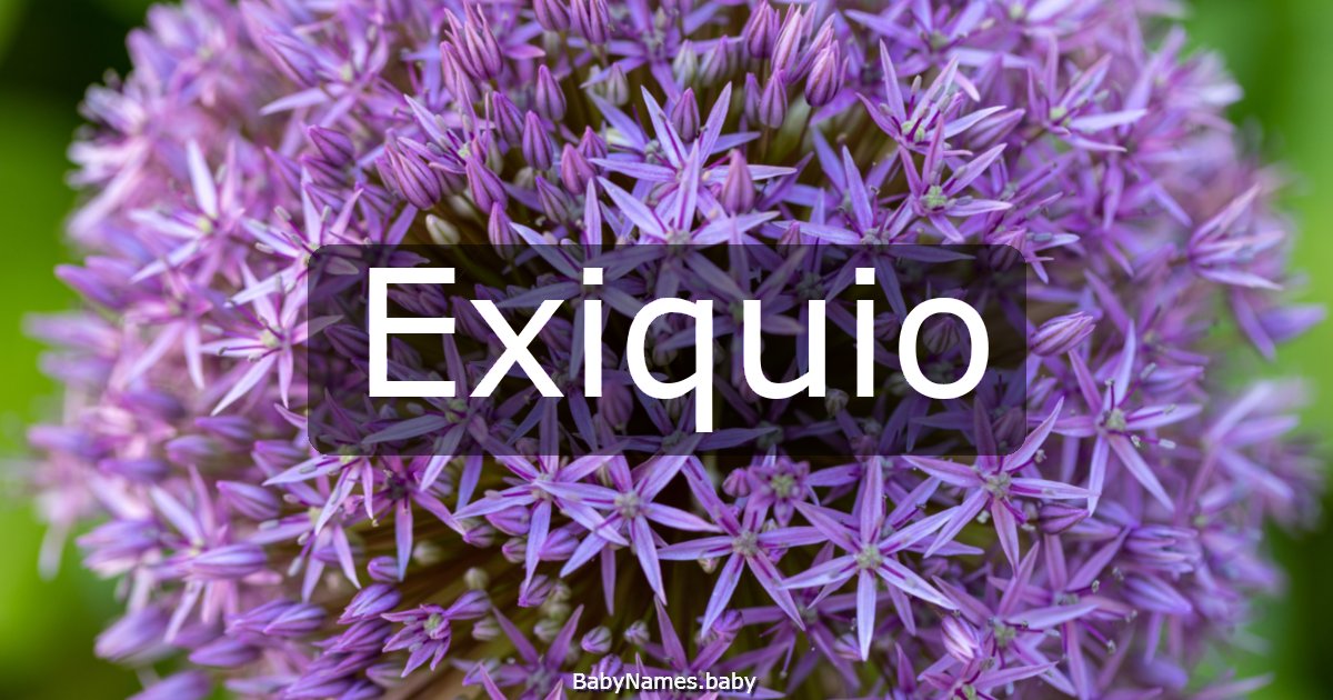 Exiquio