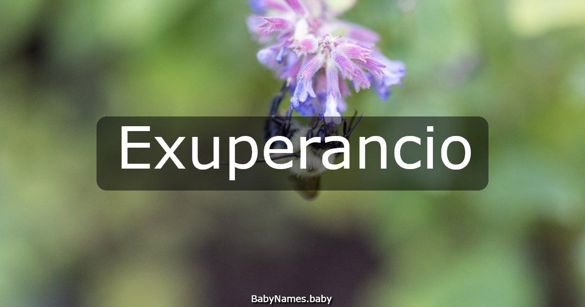 Exuperancio