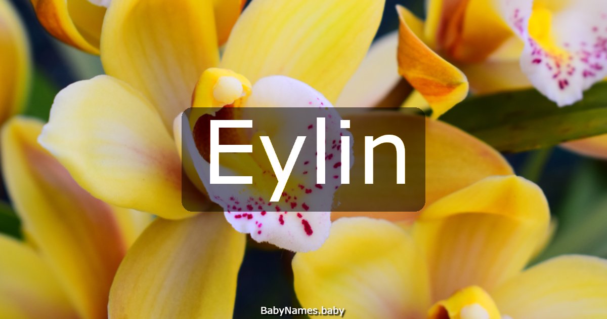 Eylin