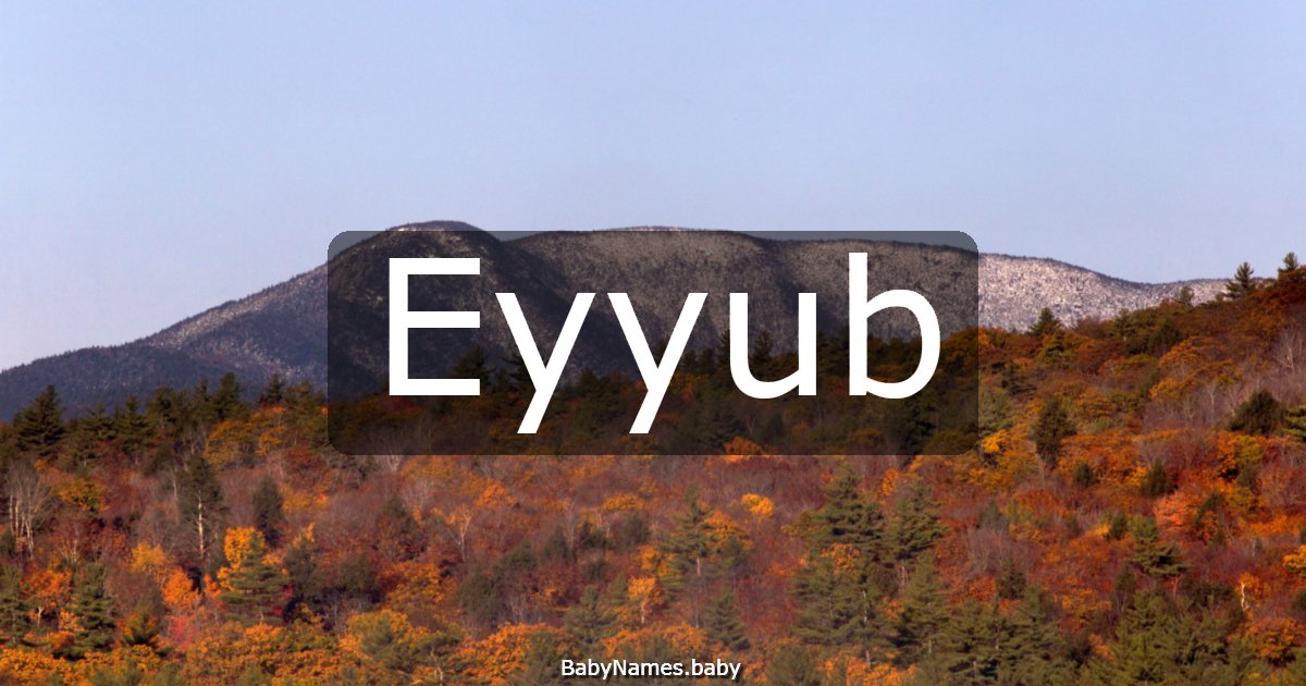 Eyyub
