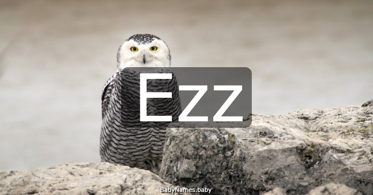 Ezz