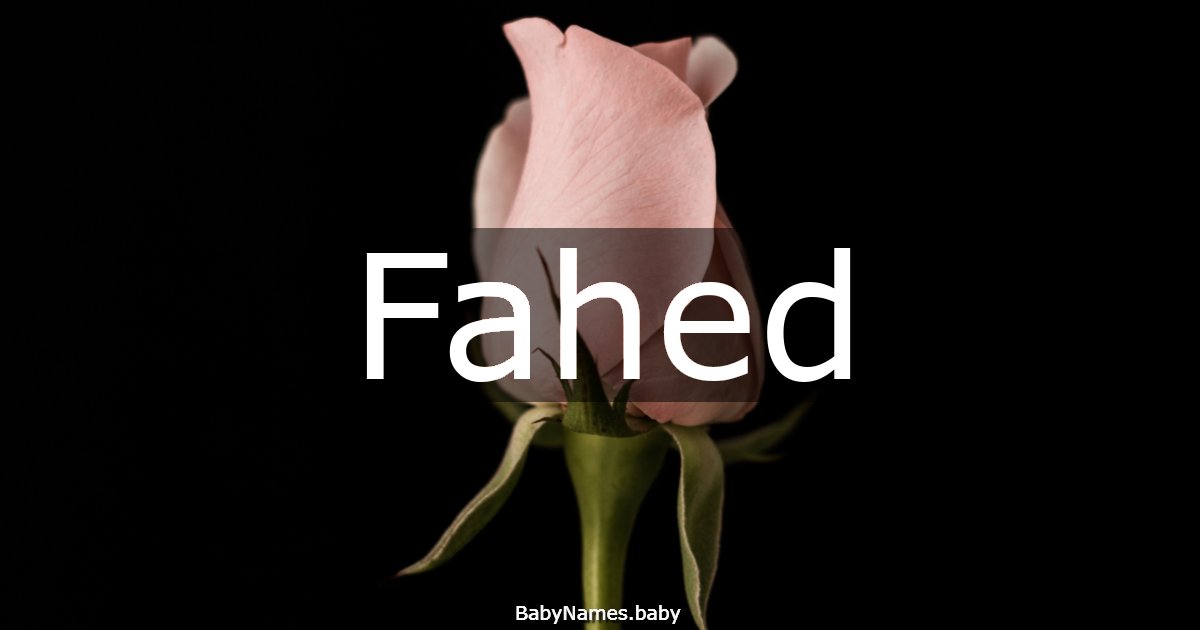 Fahed