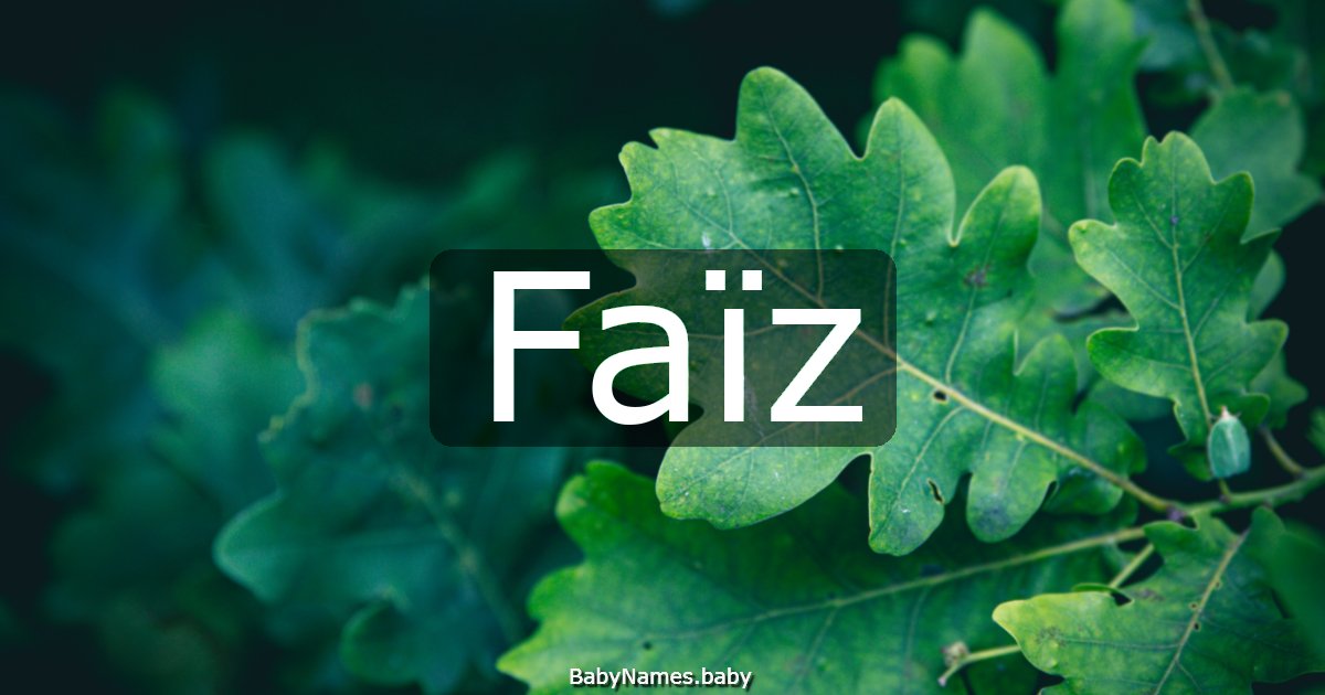 Faïz